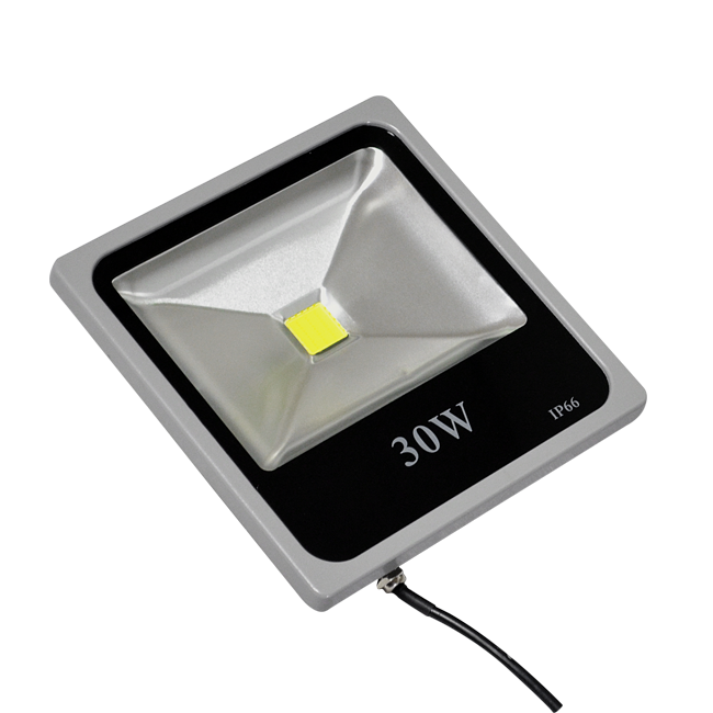 led floodlight 30 watt