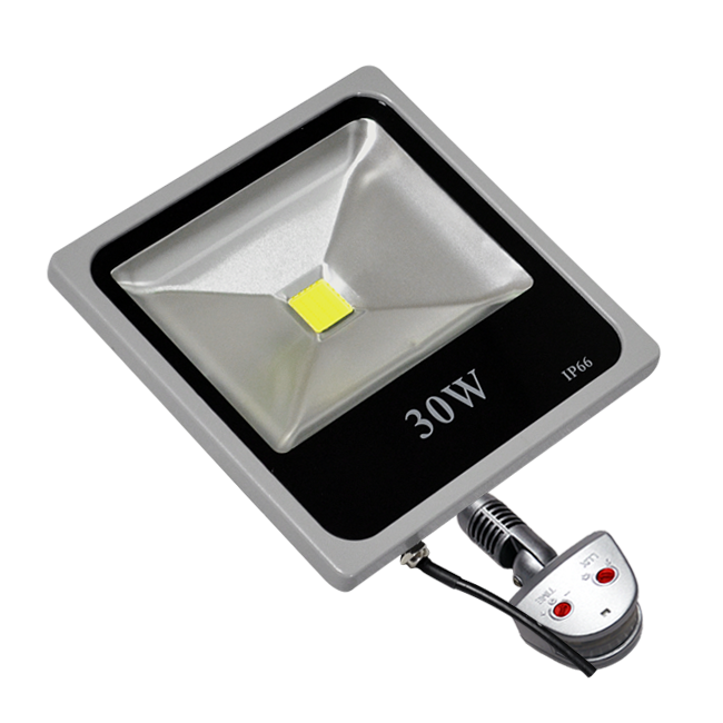 led floodlight 30 Watt