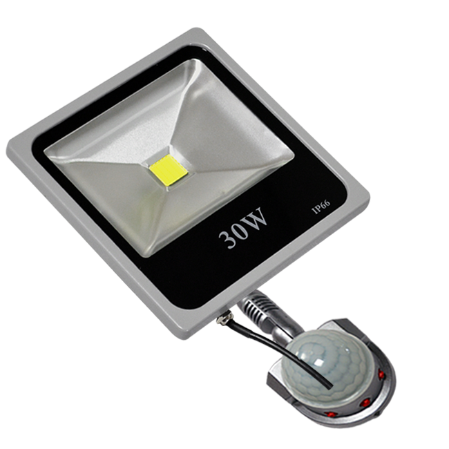 led floodlight 30 Watt