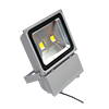 COB LED Flood Light 80W